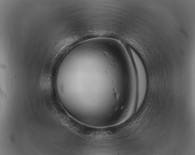 X0000090900256200708061509