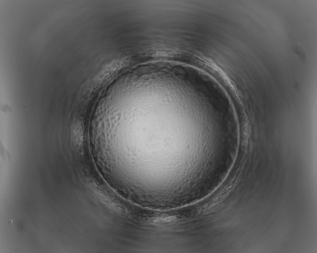 X0000090900257200708061509