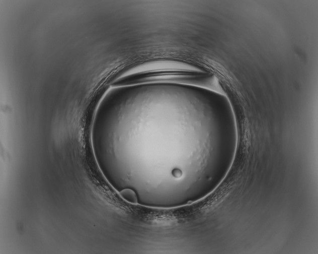 X0000090900258200708061509