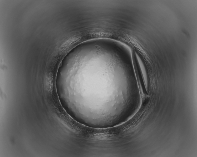 X0000090900259200708061509