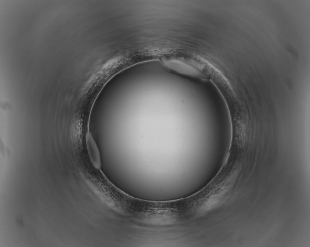 X0000090900260200708061509