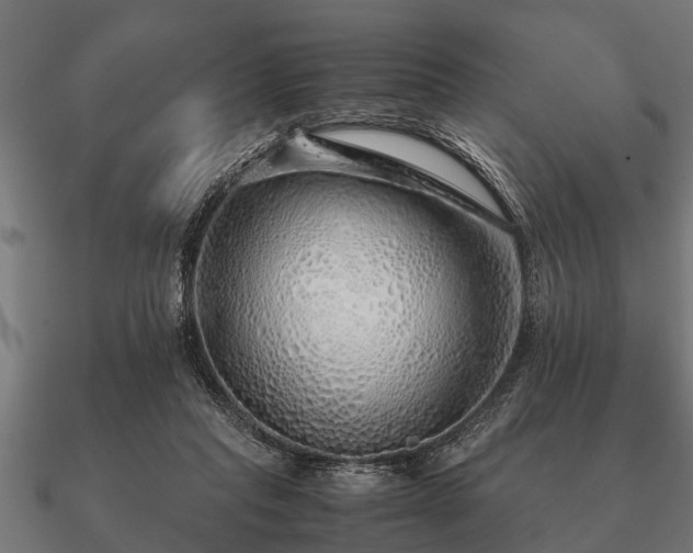 X0000090900261200708061509