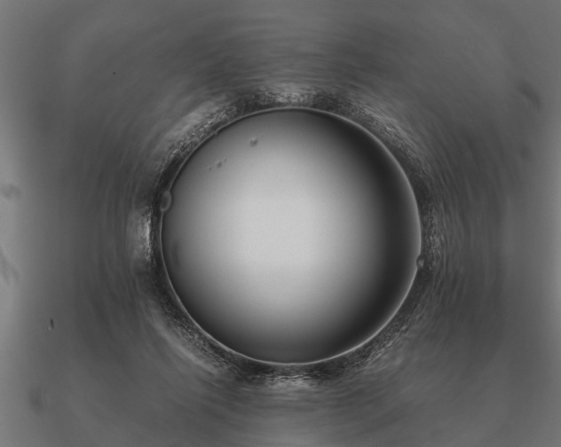 X0000090900262200708061509