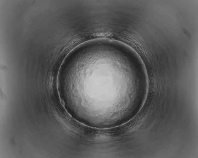 X0000090900263200708061509