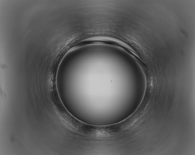 X0000090900264200708061509