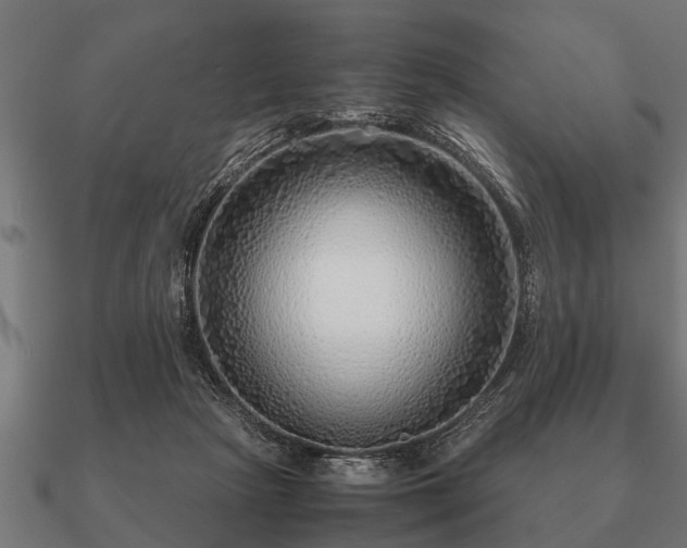 X0000090900265200708061509