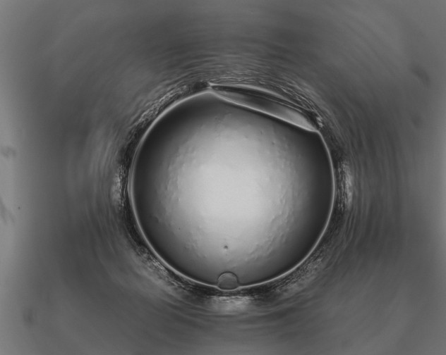 X0000090900266200708061509