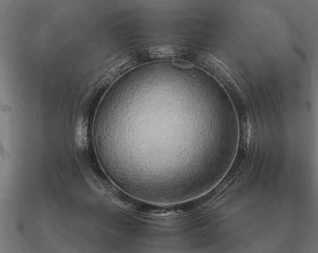 X0000090900267200708061509