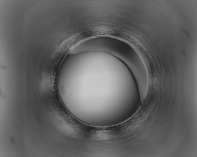 X0000090900268200708061509