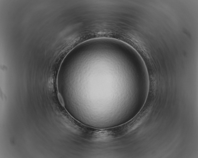 X0000090900269200708061509