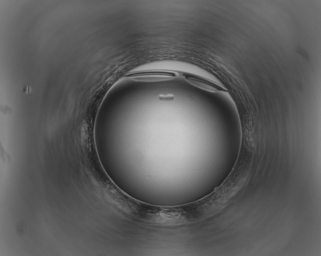 X0000090900270200708061509