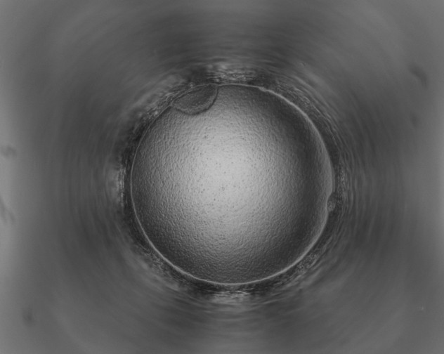 X0000090900271200708061509