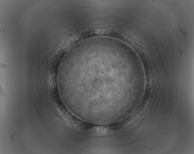 X0000090900272200708061509