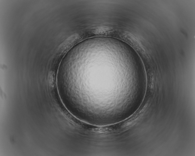 X0000090900273200708061509