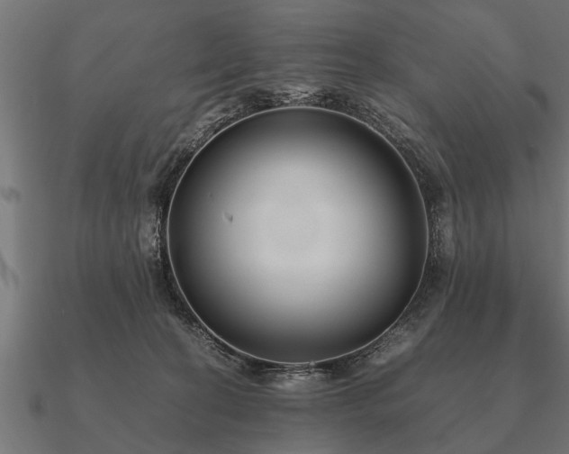 X0000090900274200708061509