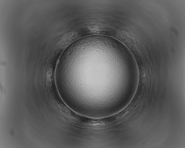 X0000090900275200708061509