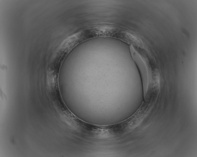 X0000090900276200708061509