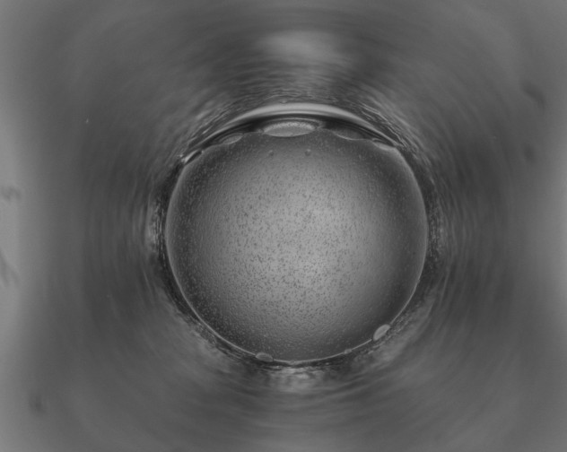 X0000090900277200708061509