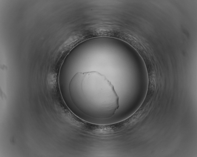 X0000090900278200708061509