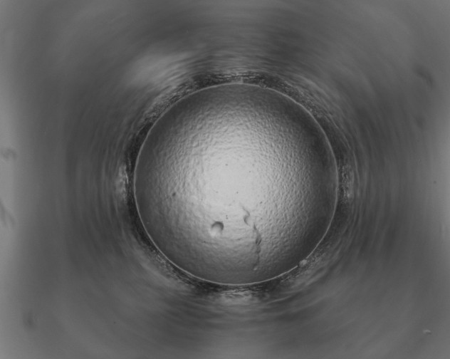 X0000090900279200708061509