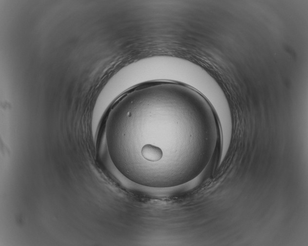 X0000090900280200708061509