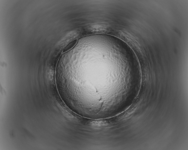 X0000090900281200708061509