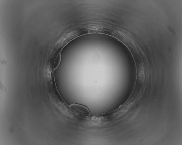 X0000090900282200708061509