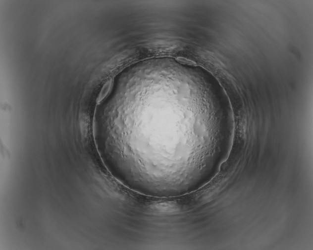 X0000090900283200708061509