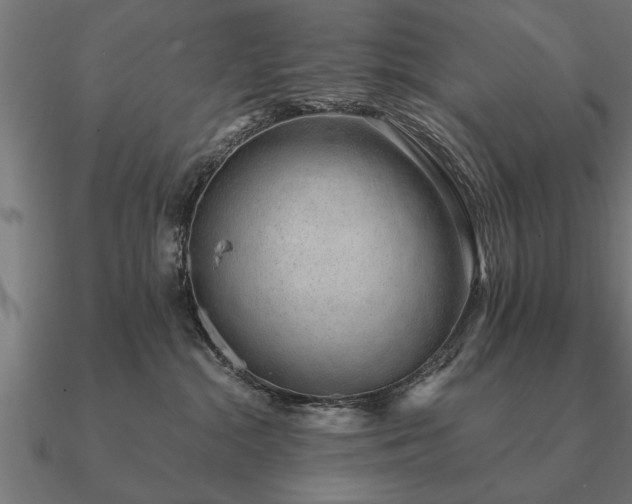 X0000090900284200708061509