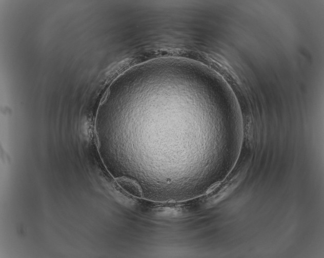 X0000090900285200708061509