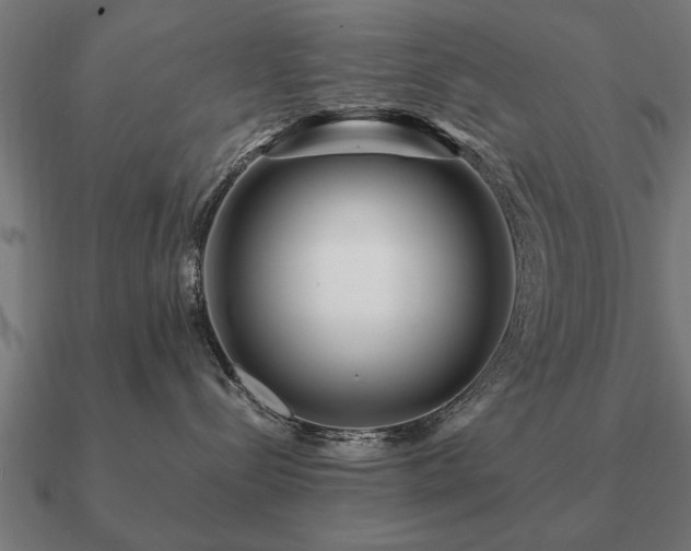 X0000090900288200708061509