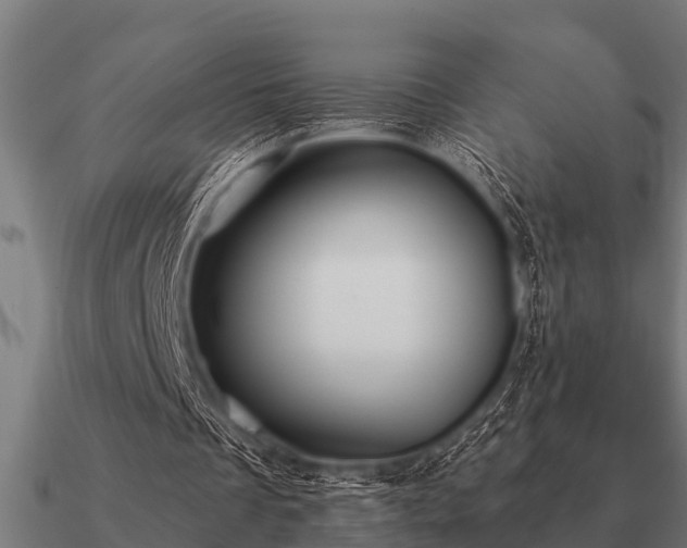 X0000090900289200708061509