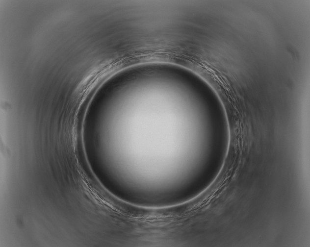 X0000090900290200708061509