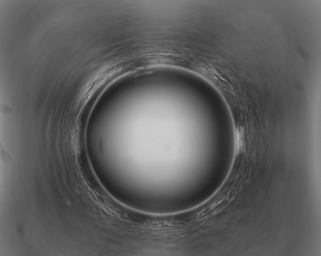 X0000090900291200708061509