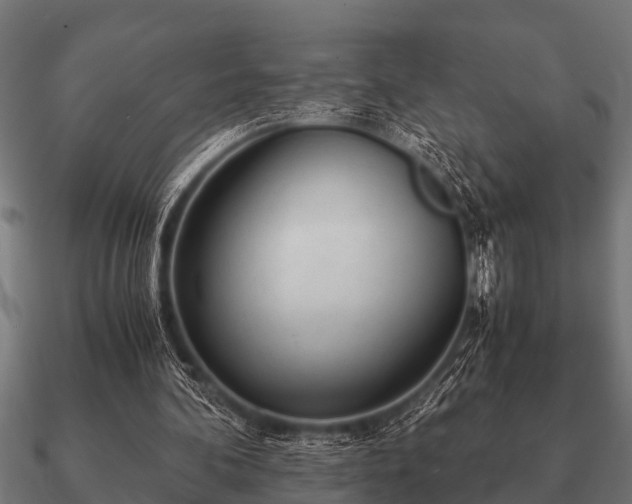 X0000090900292200708061509