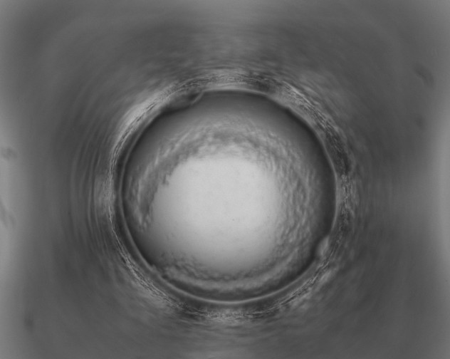 X0000090900293200708061509