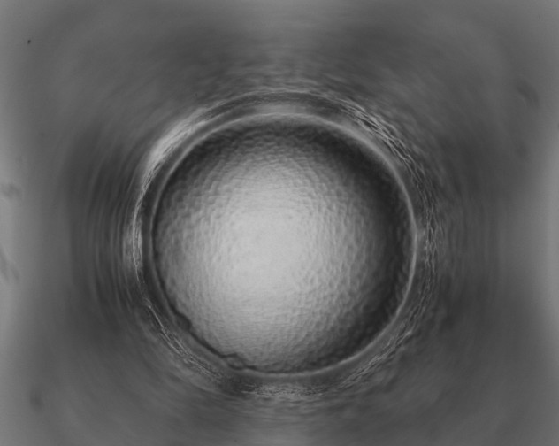 X0000090900294200708061509