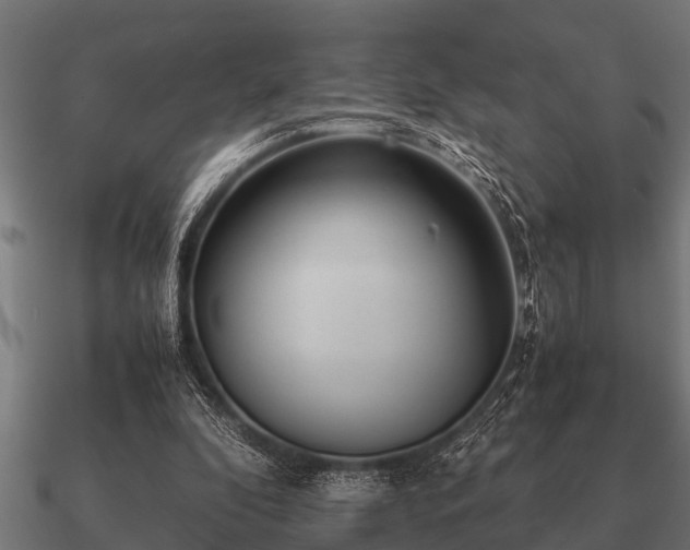 X0000090900296200708061509