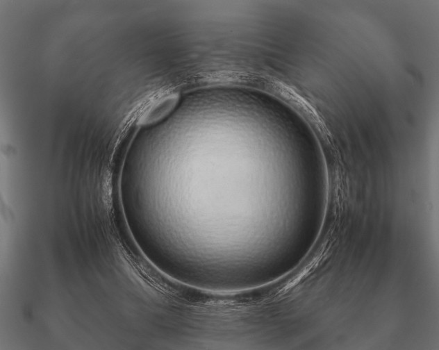 X0000090900298200708061509