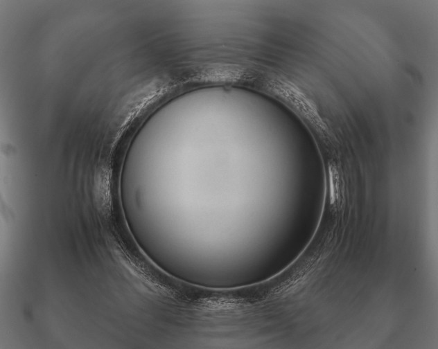 X0000090900300200708061509