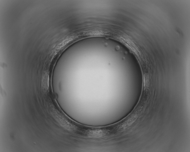 X0000090900301200708061509