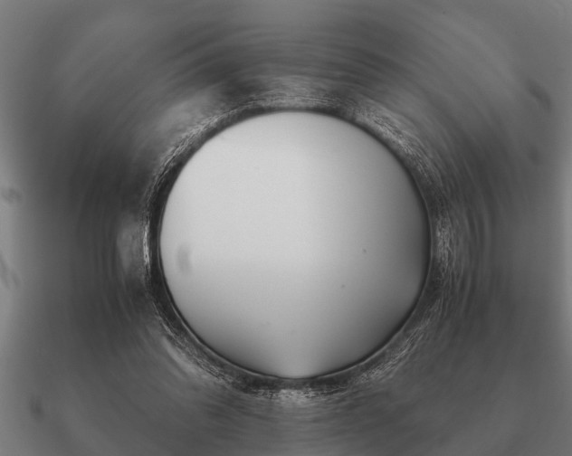 X0000090900302200708061509