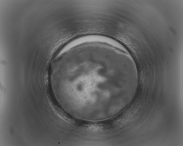 X0000090900303200708061509