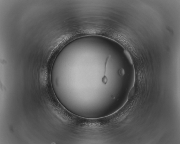 X0000090900304200708061509