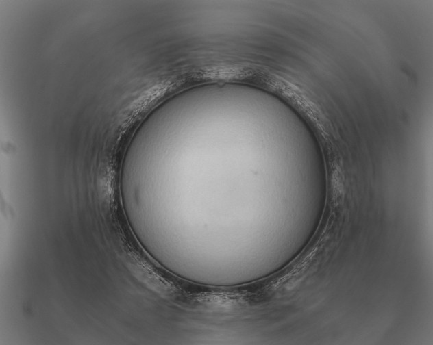 X0000090900305200708061509