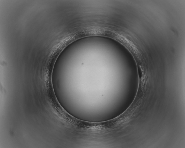 X0000090900306200708061509