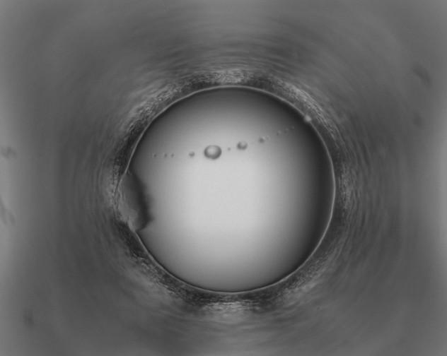 X0000090900307200708061509