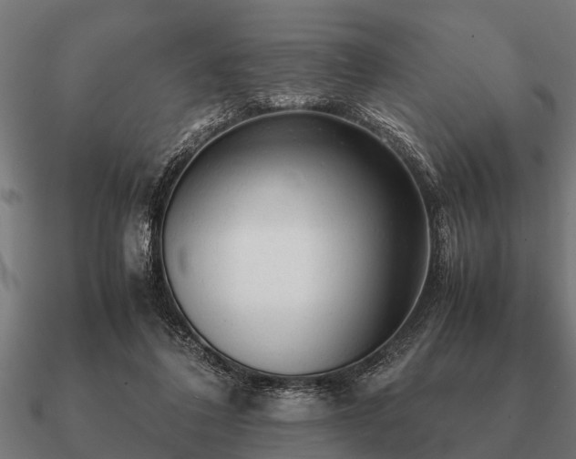 X0000090900308200708061509