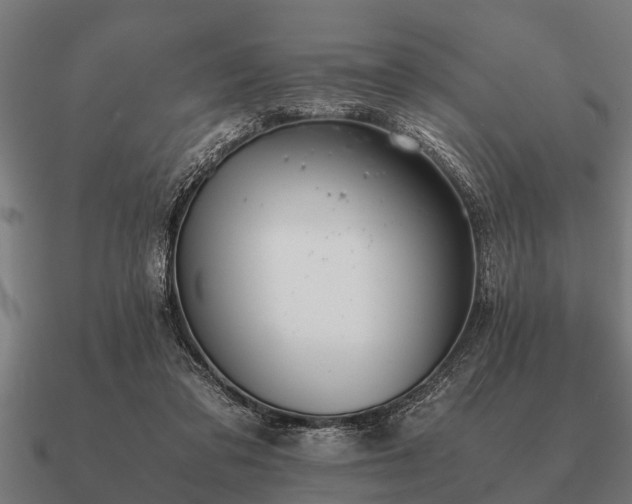 X0000090900309200708061509