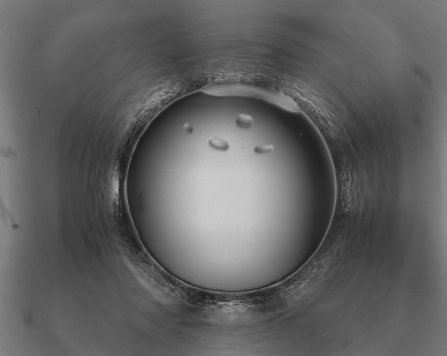 X0000090900310200708061509